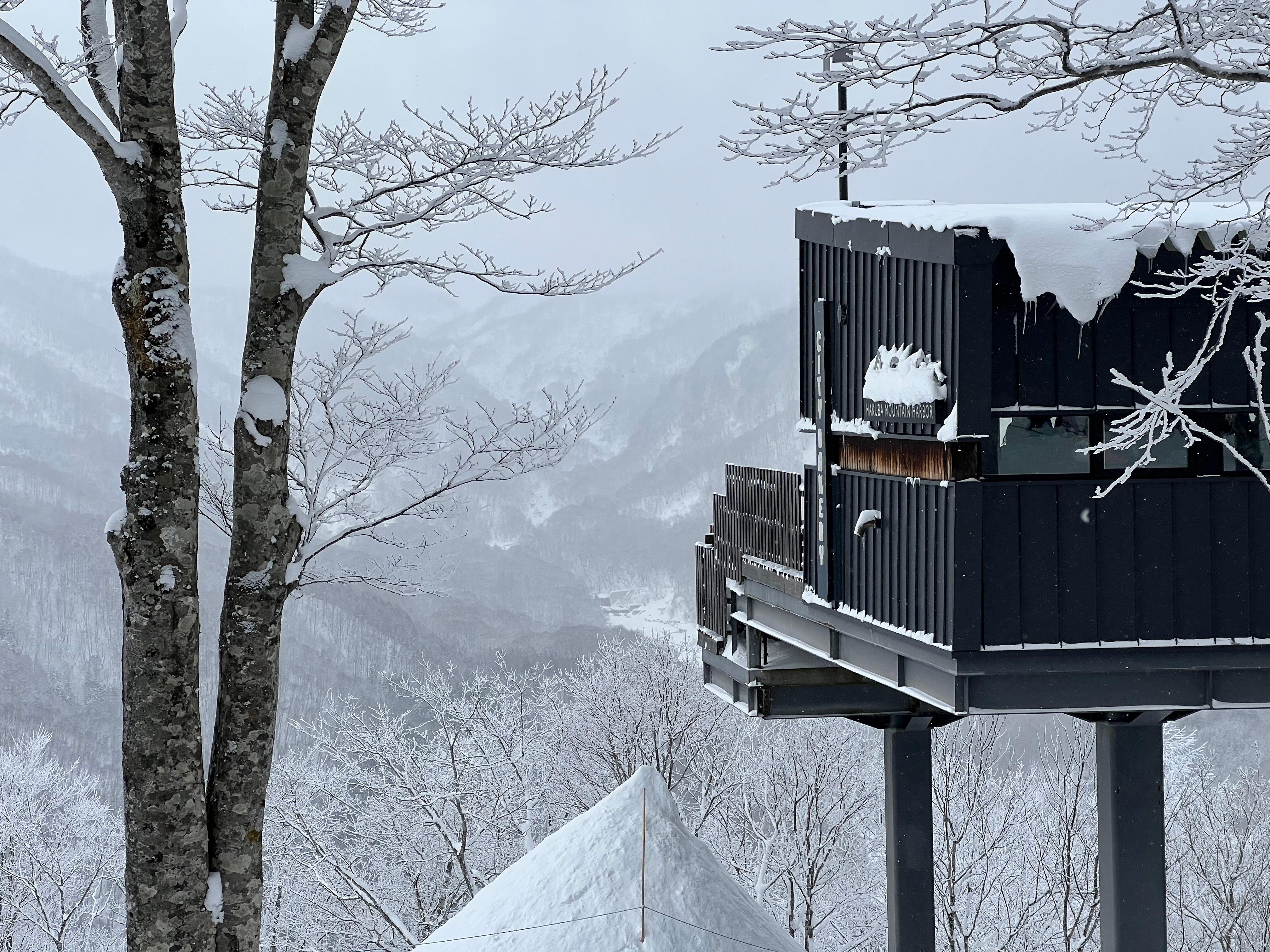 A dark timber cabin raised on steel stilts among snow-covered trees, with misty mountains behind and a snow-covered pointed roof below