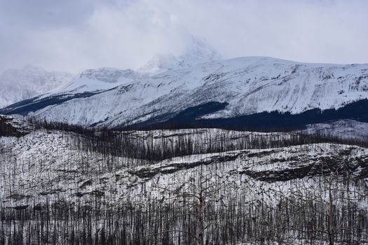 Scenic view of snow-covered mountains in Jasper National Park, Alberta, Canada.