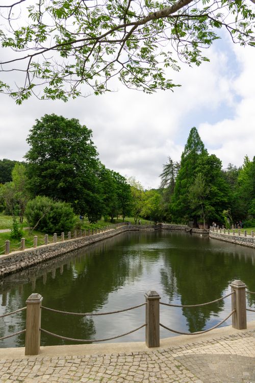 Free A tranquil pond surrounded by lush greenery in a park in Istanbul, Türkiye. Stock Photo