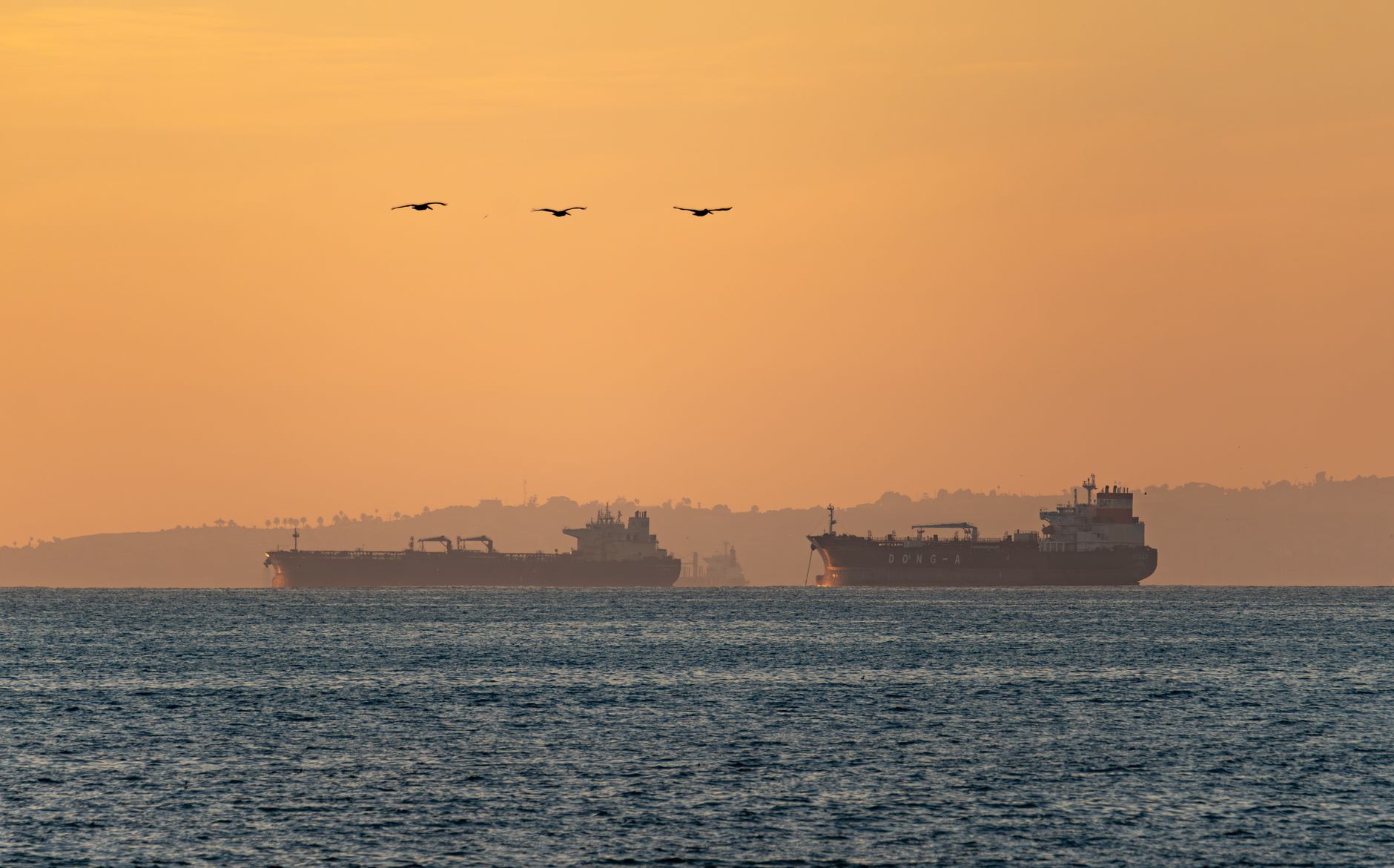 Free stock photo of california, long beach, ocean