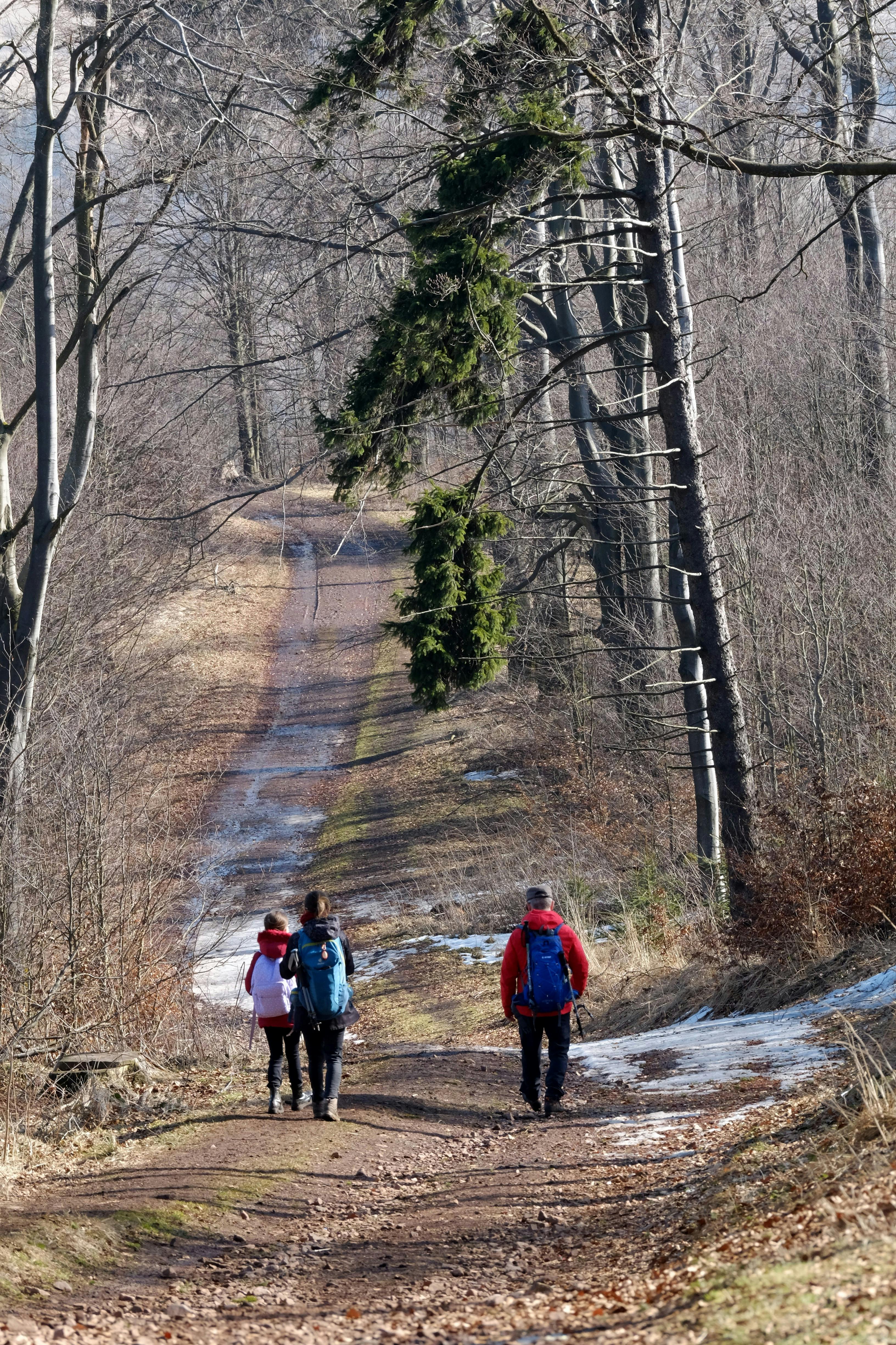 Gabbard: Trumpove ciele v Iráne sa líšia od cieľov Izraela