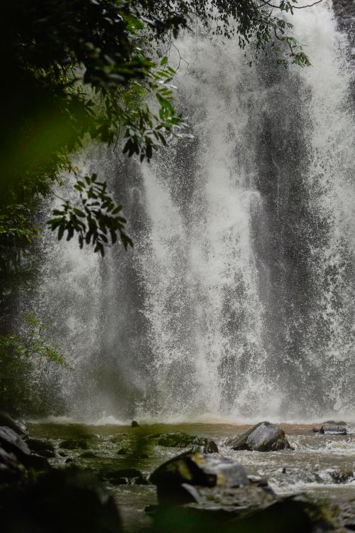 Free A stunning view of a waterfall cascading amidst lush greenery, conveying a sense of tranquility and natural beauty. Stock Photo