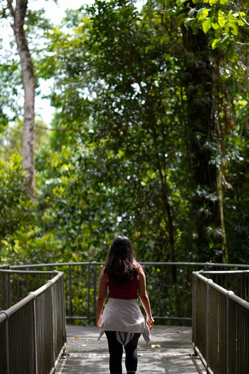 Free A woman walks across a bridge surrounded by vibrant, lush green forest. Stock Photo