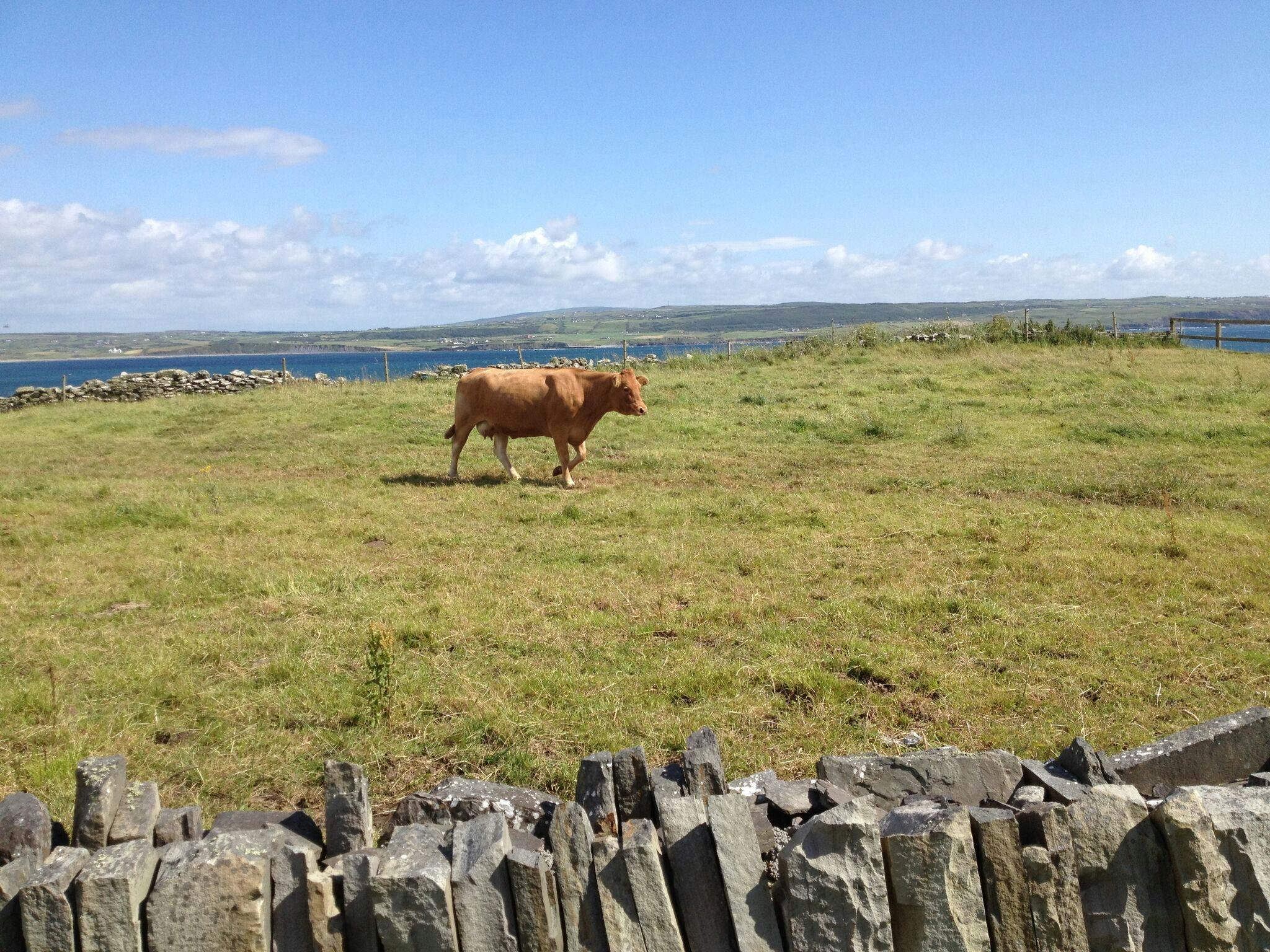 Nelson Mandela Capture Site