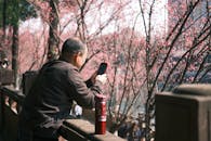 Man Enjoying Cherry Blossoms with Smartphone
