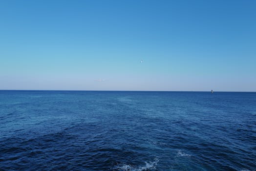 A serene view of the vast blue ocean merging with the clear sky on a sunny day.