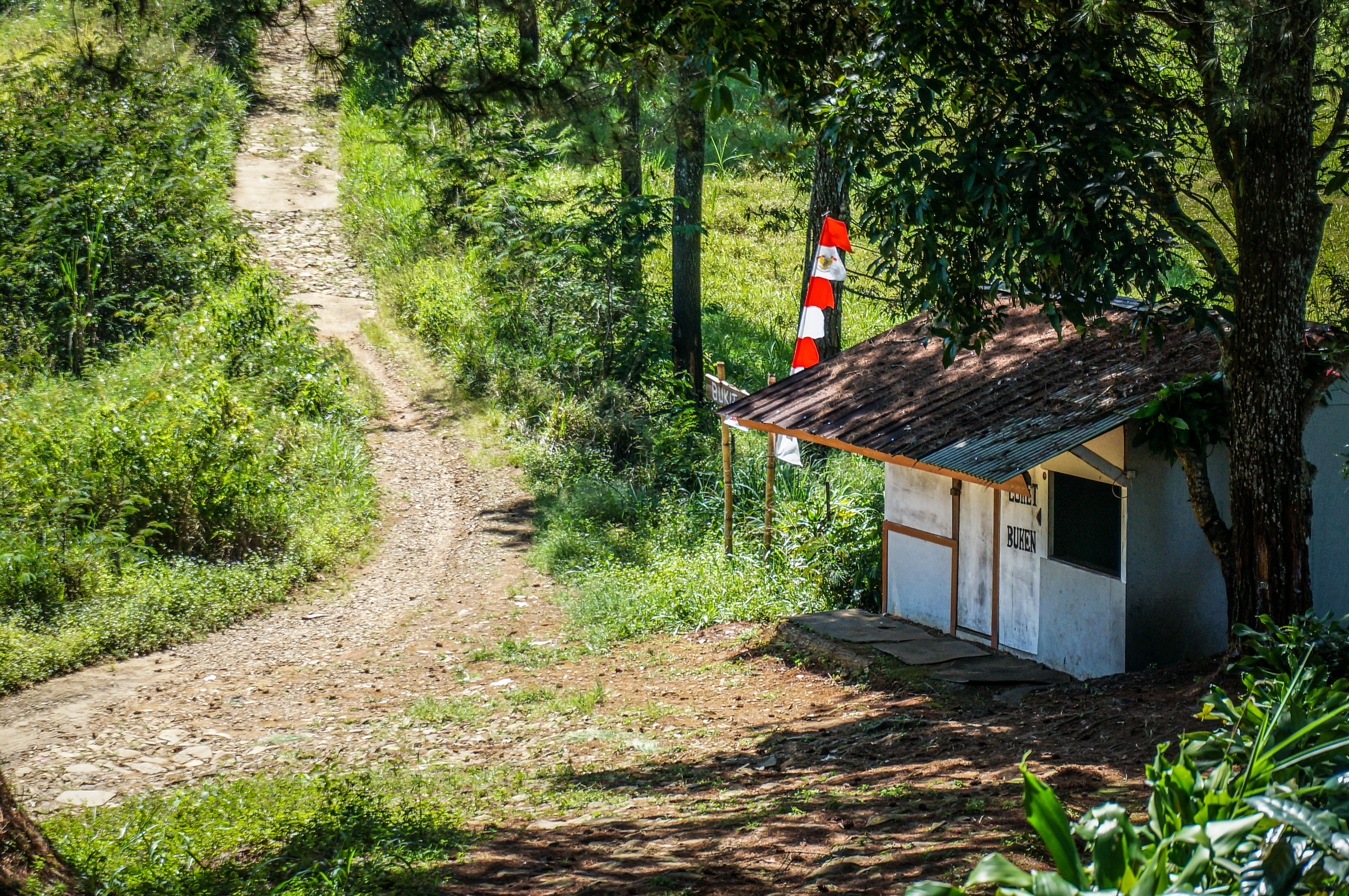 Rural Pathway with Rustic Cabin in Lush Greenery · Free Stock Photo