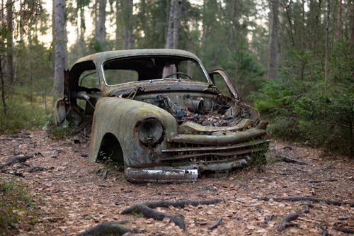 Free A rusted vintage car abandoned in a lush forest setting, surrounded by trees. Stock Photo