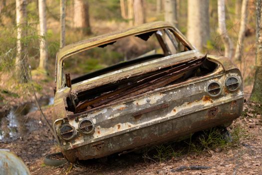 Decaying car left in a serene forest, showcasing nature's reclamation.