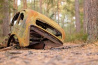 Rusty car remains in peaceful forest setting