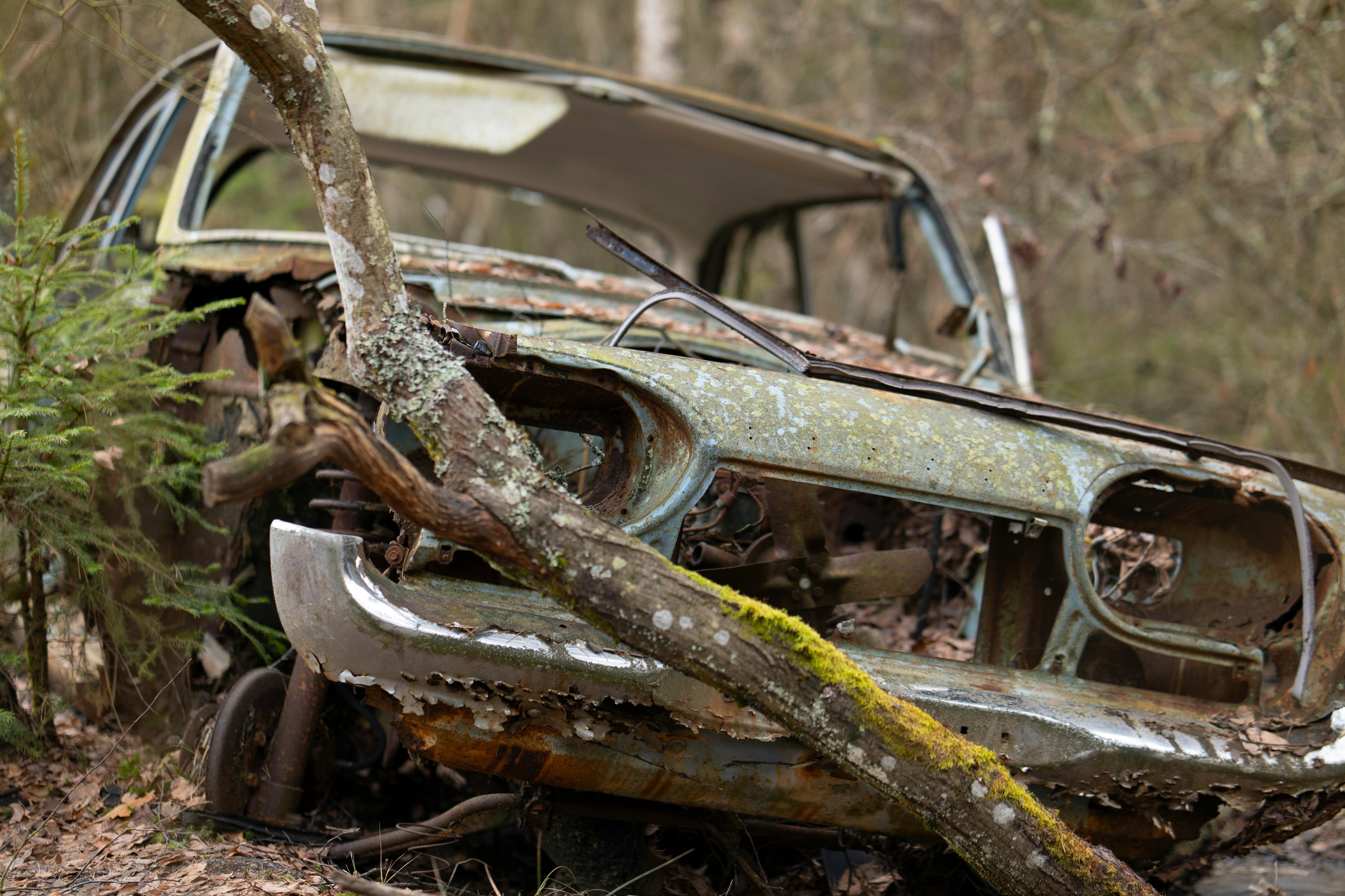 What’s Missing in Cities’ Climate Resilience Interventions? Three New Studies Assess — Photo by Lorenzo Manera on Pexels