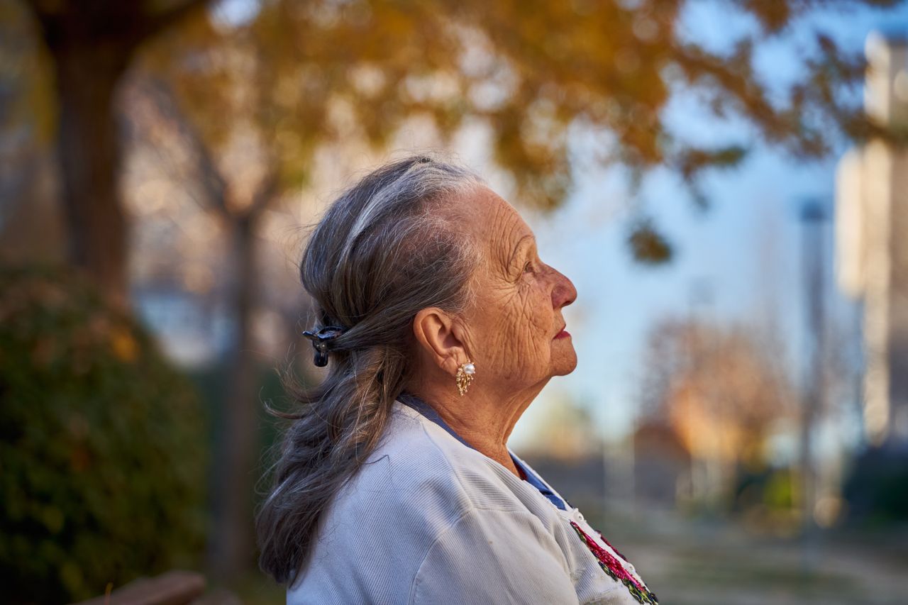 side profile portrait of a senior woman in a sunny autumn park san seb