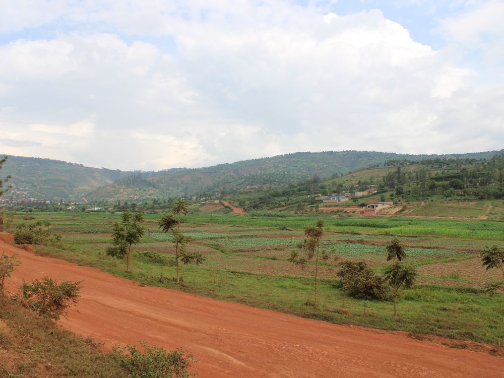 Scenic rural landscape in kigali rwanda