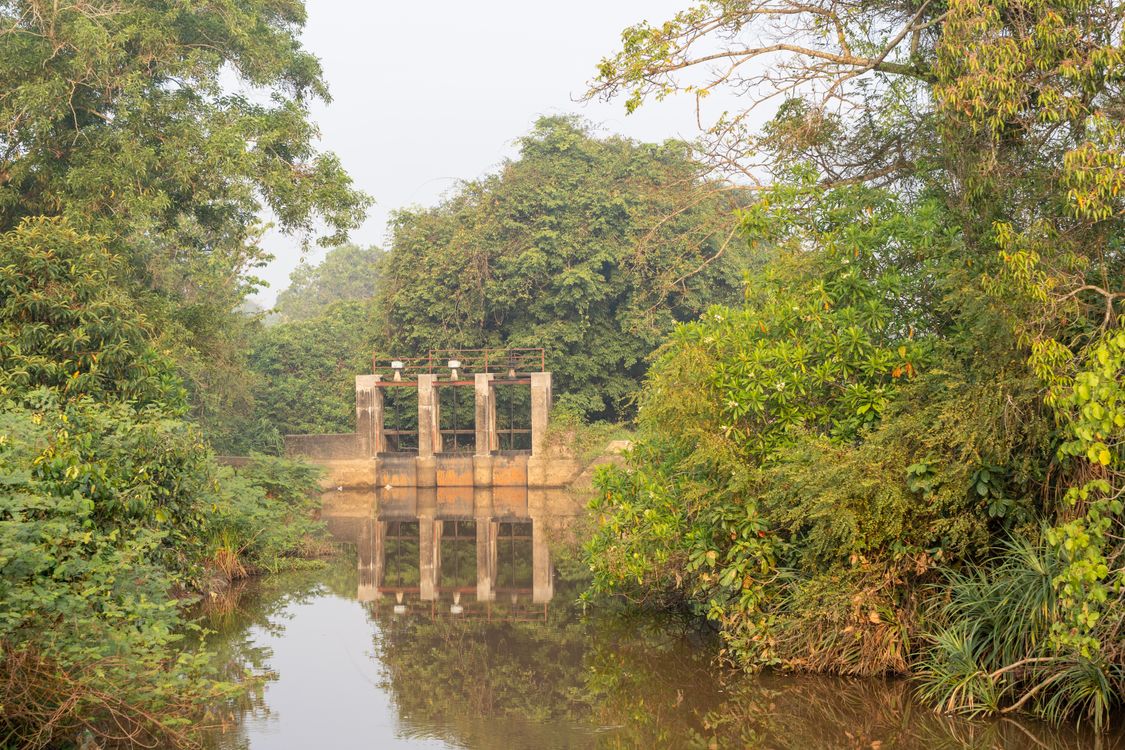 Nature Scene with Old Water Gate and Reflection · Free Stock Photo