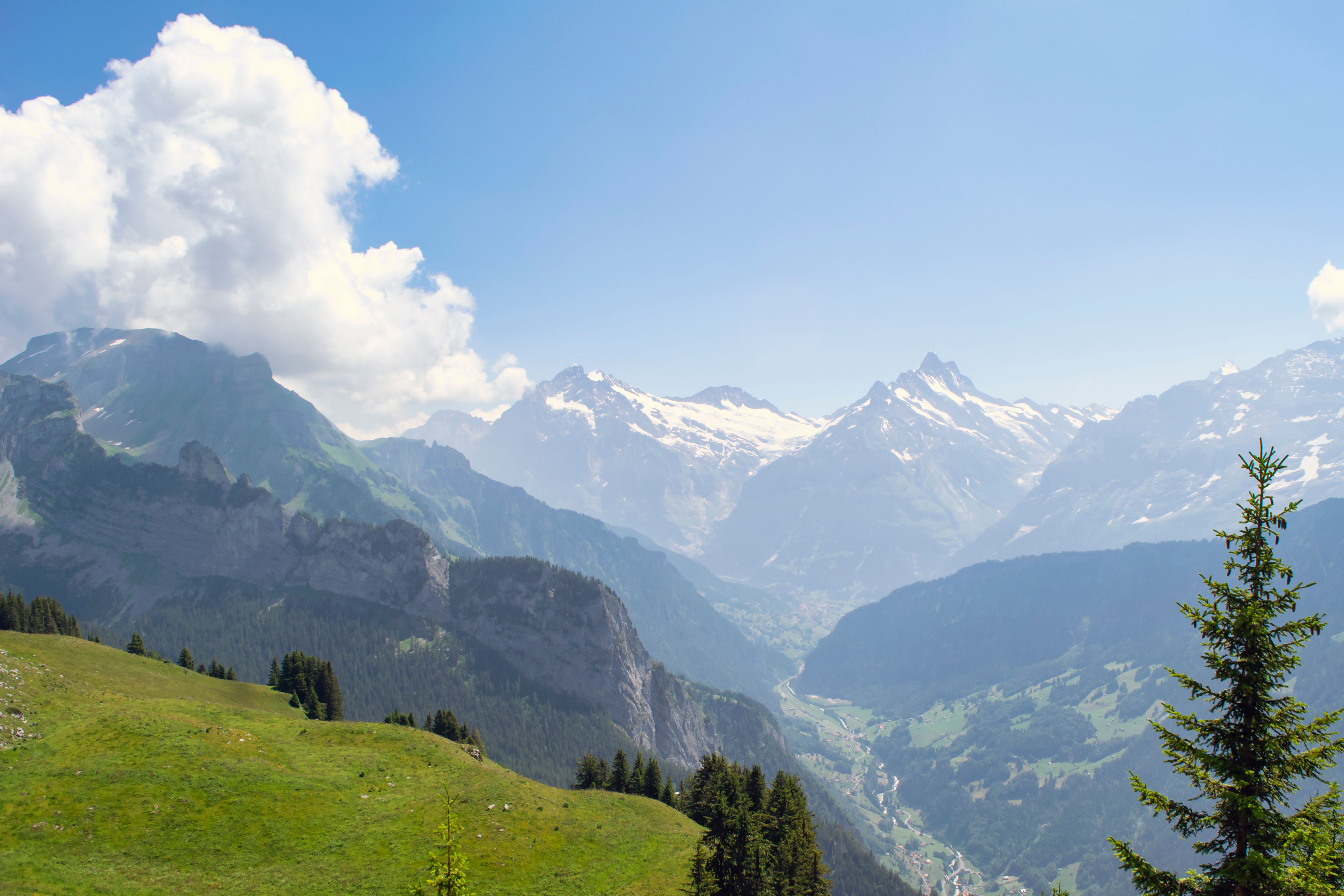 Breathtaking Mountain Landscape with Forest View · Free Stock Photo