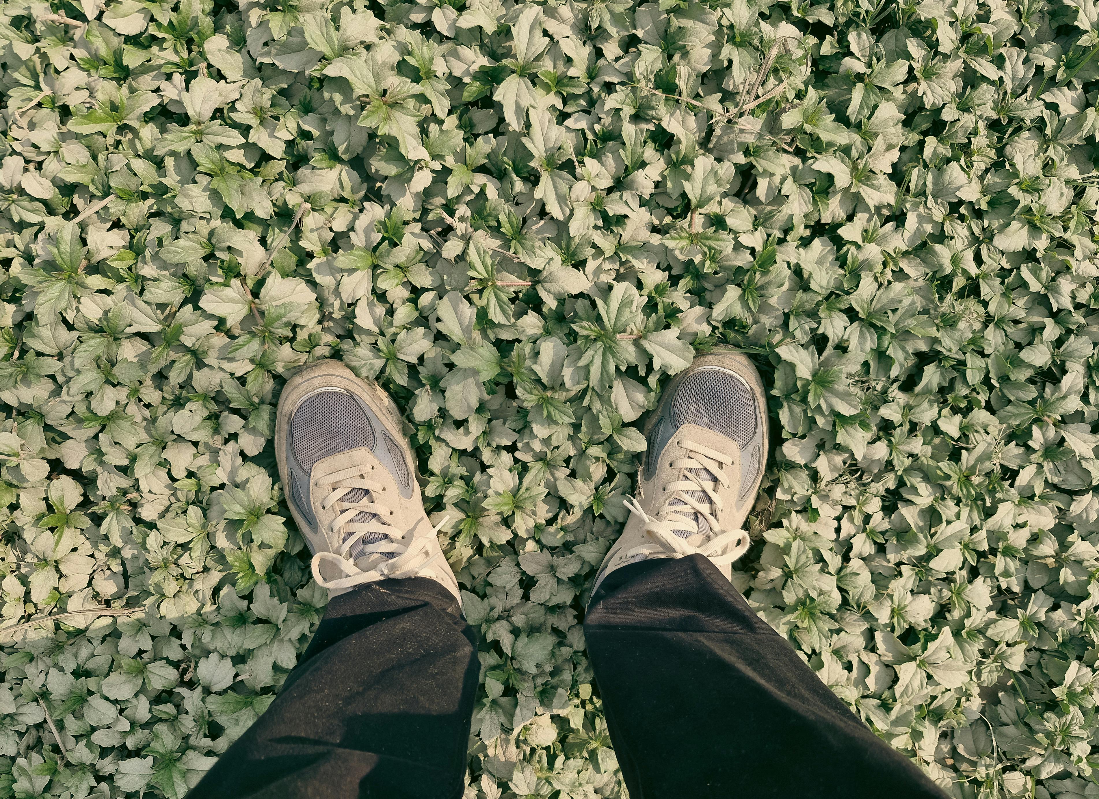 бесплатная Ноги человека в кроссовках на пышном ковре из зеленых листьев на открытом воздухе. Стоковое фото