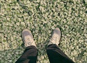 Person Standing on Lush Leafy Ground Cover