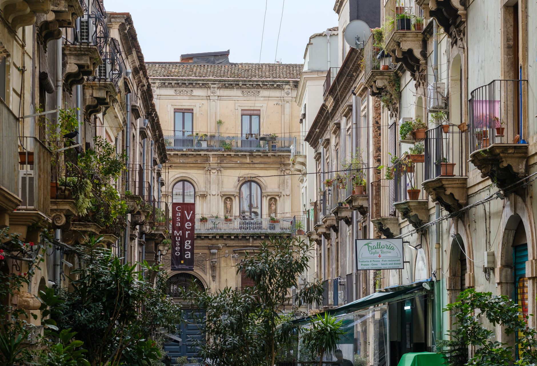 Catania