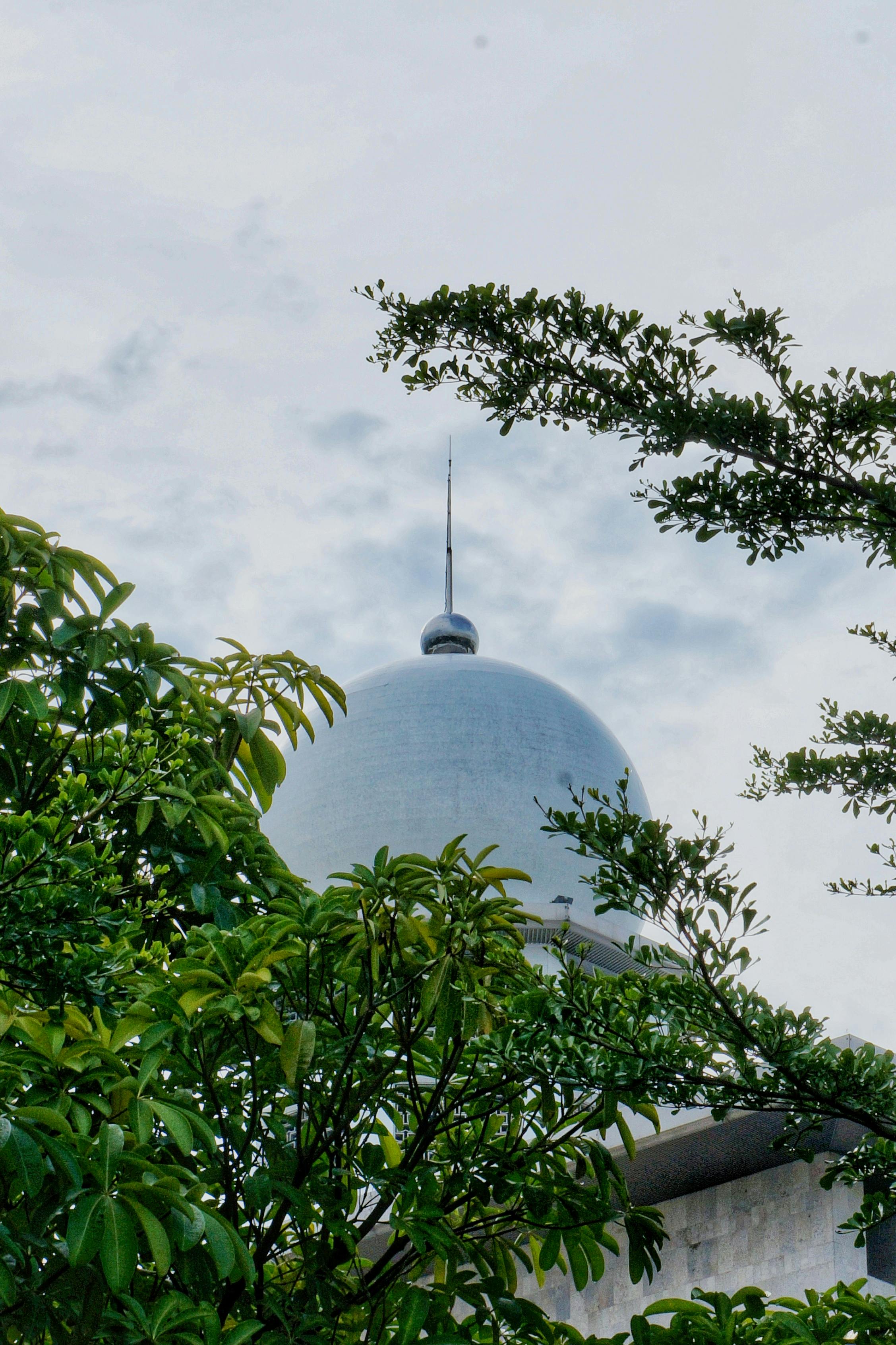 De franc Una majestuosa cúpula s'eleva sobre un fullatge verd vibrant en un dia ennuvolat, mostrant bellesa arquitectònica. Foto d'estoc