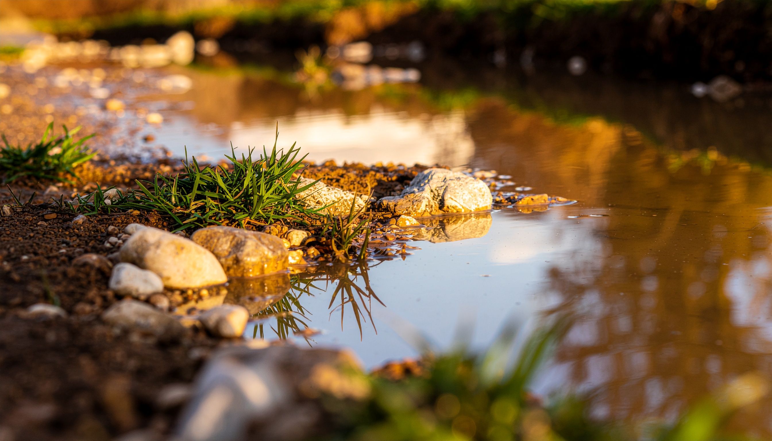 Serene Puddle Reflection on Rocky Terrain · Free Stock Photo