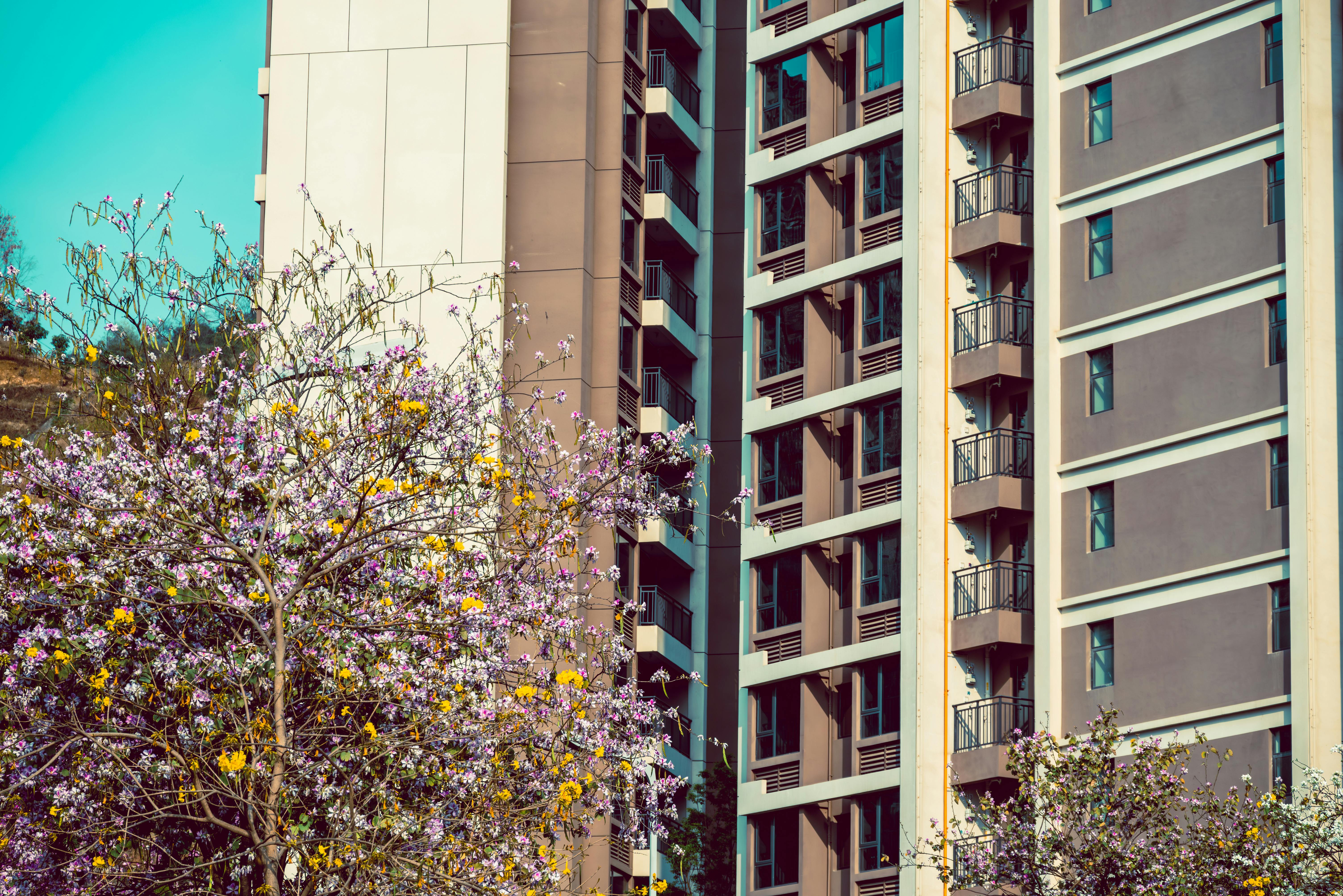 Kimisitu Sacco postpones AGM over pending KUSCCO forensic audit