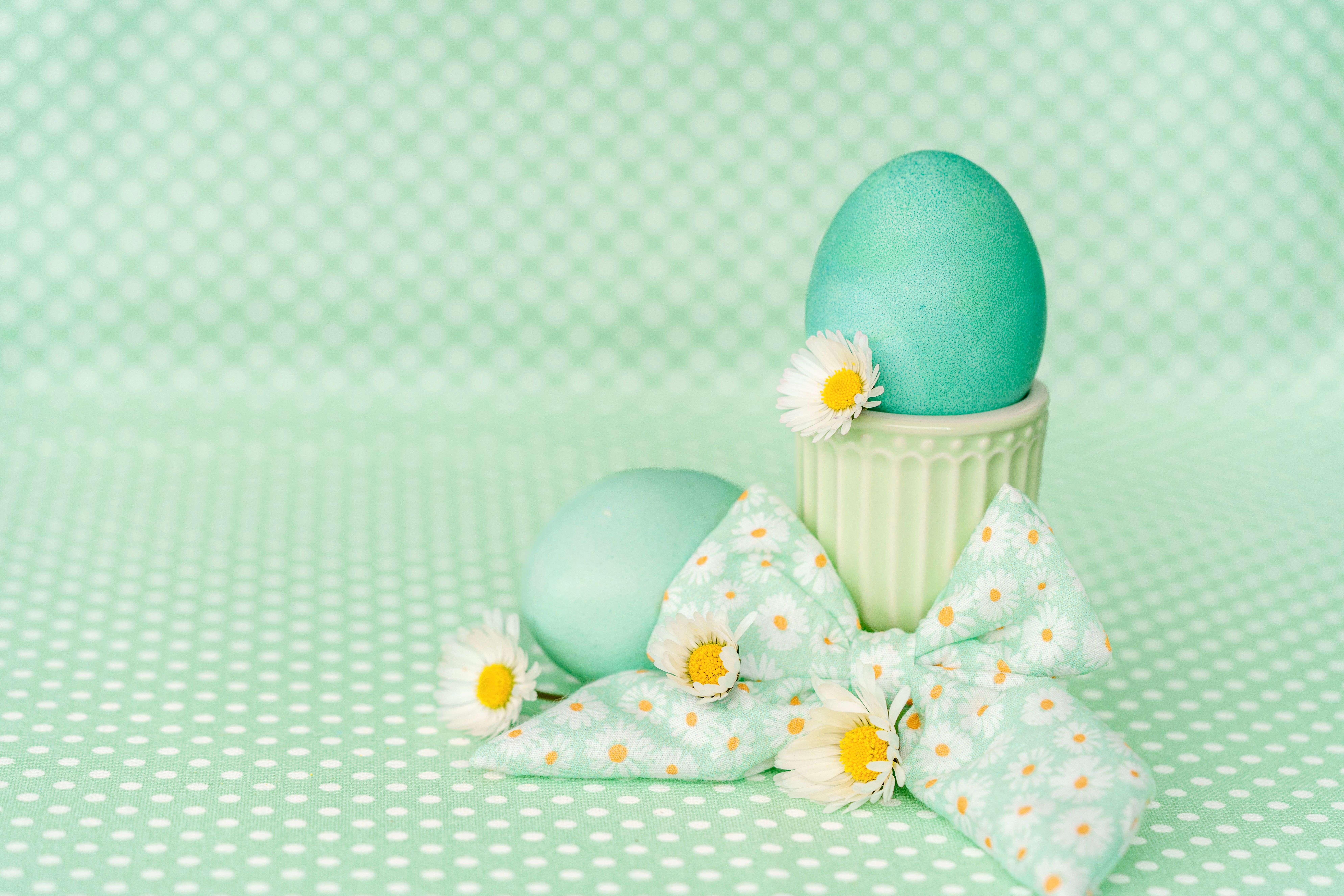Pastel Green Easter Egg Decor with Daisies · Free Stock Photo