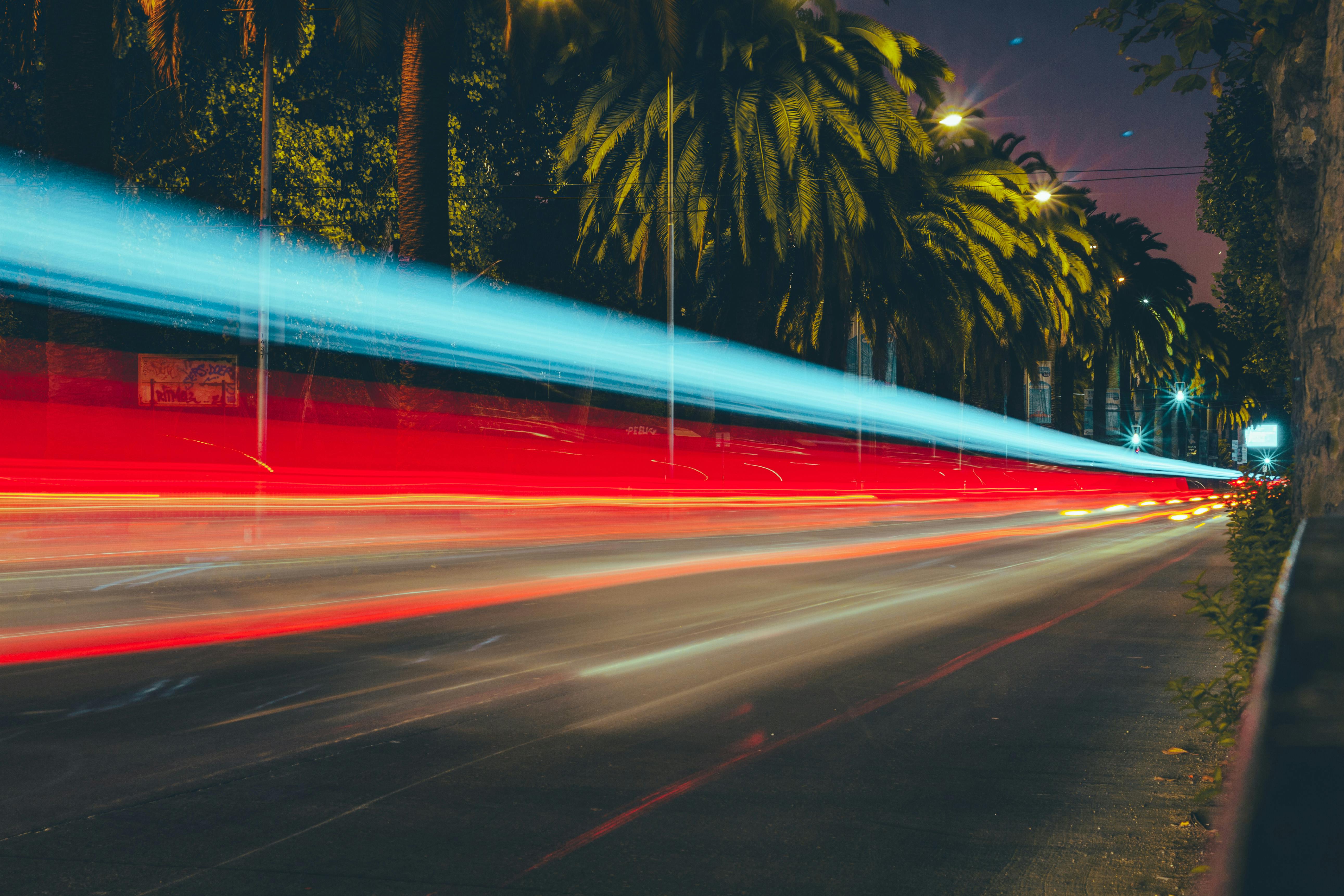 Free Captivating long exposure of moving light trails against palm trees in Viña del Mar, Chile. Stock Photo