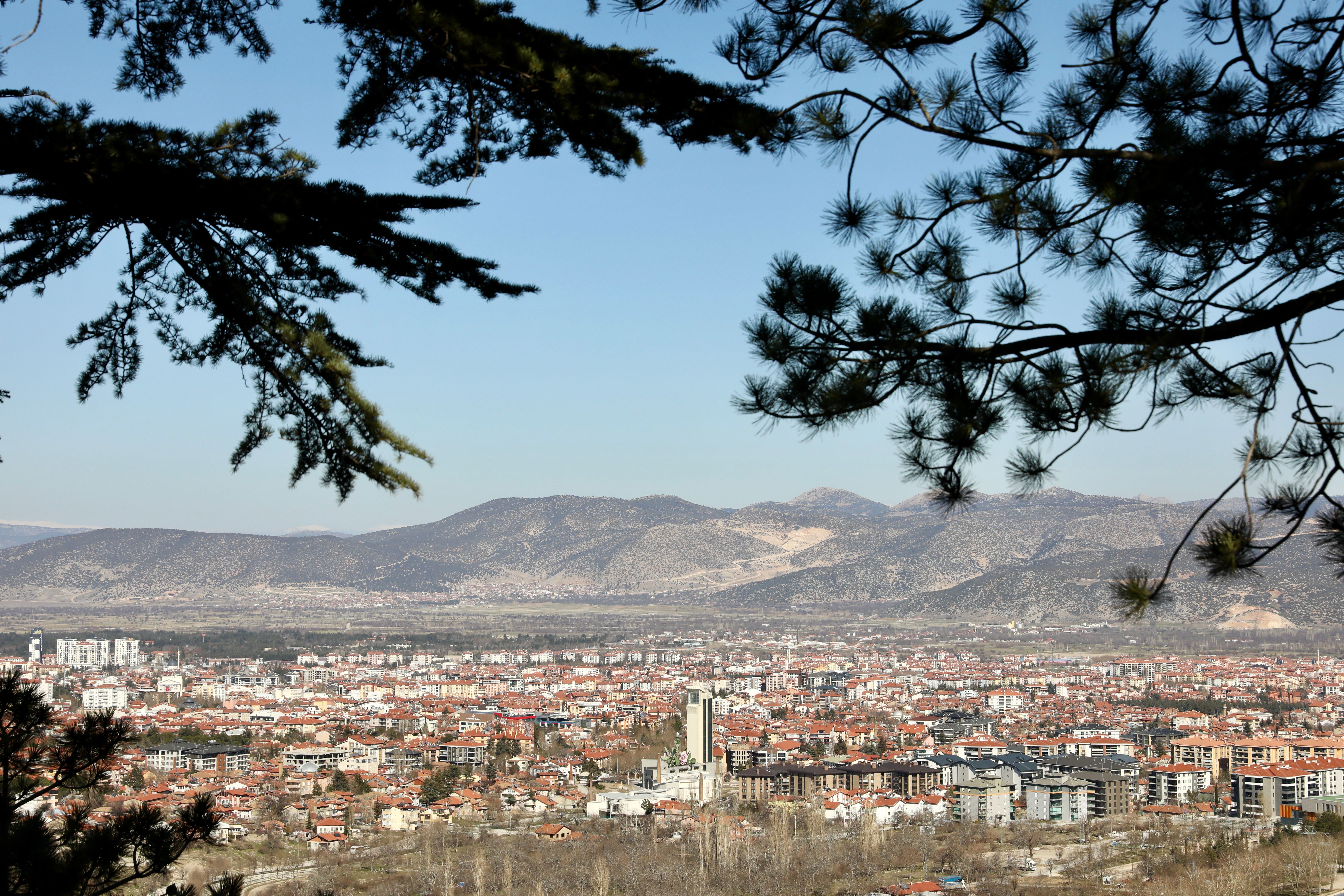 Pine Mountain