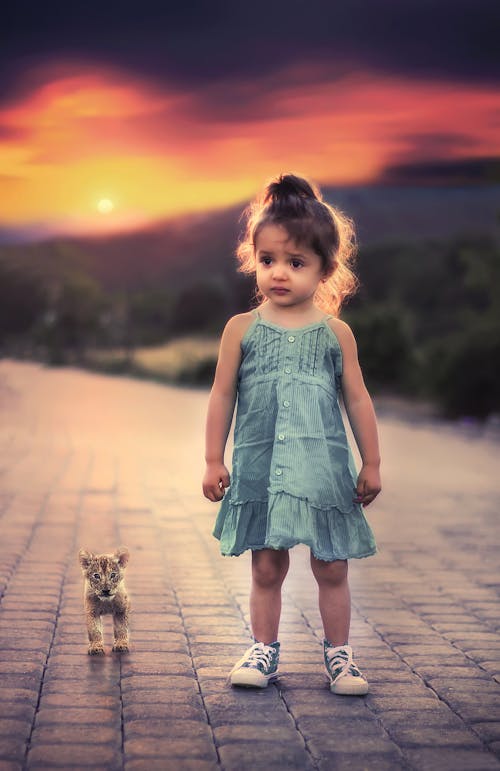 Toddler Girl Standing Beside Lion Cub