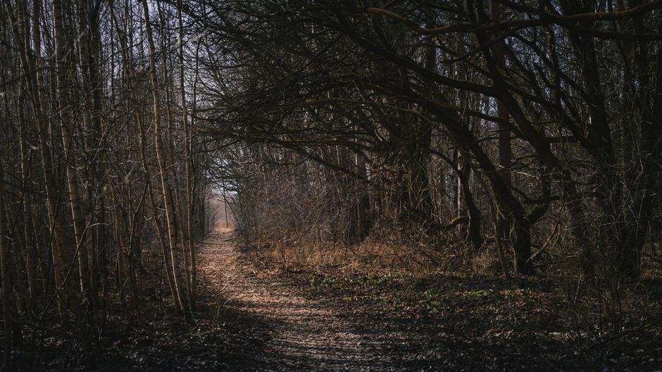 Carney's Nature Strategy Is Coming, But Will It Have Any Money?