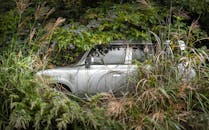 Overgrown Vintage Car Abandoned in Lush Forest