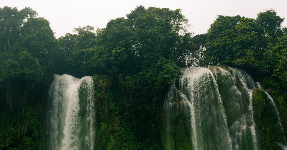 Analyse des tendances du tourisme durable en 2026