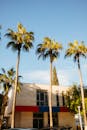 Modern Building and Palm Trees under Clear Sky