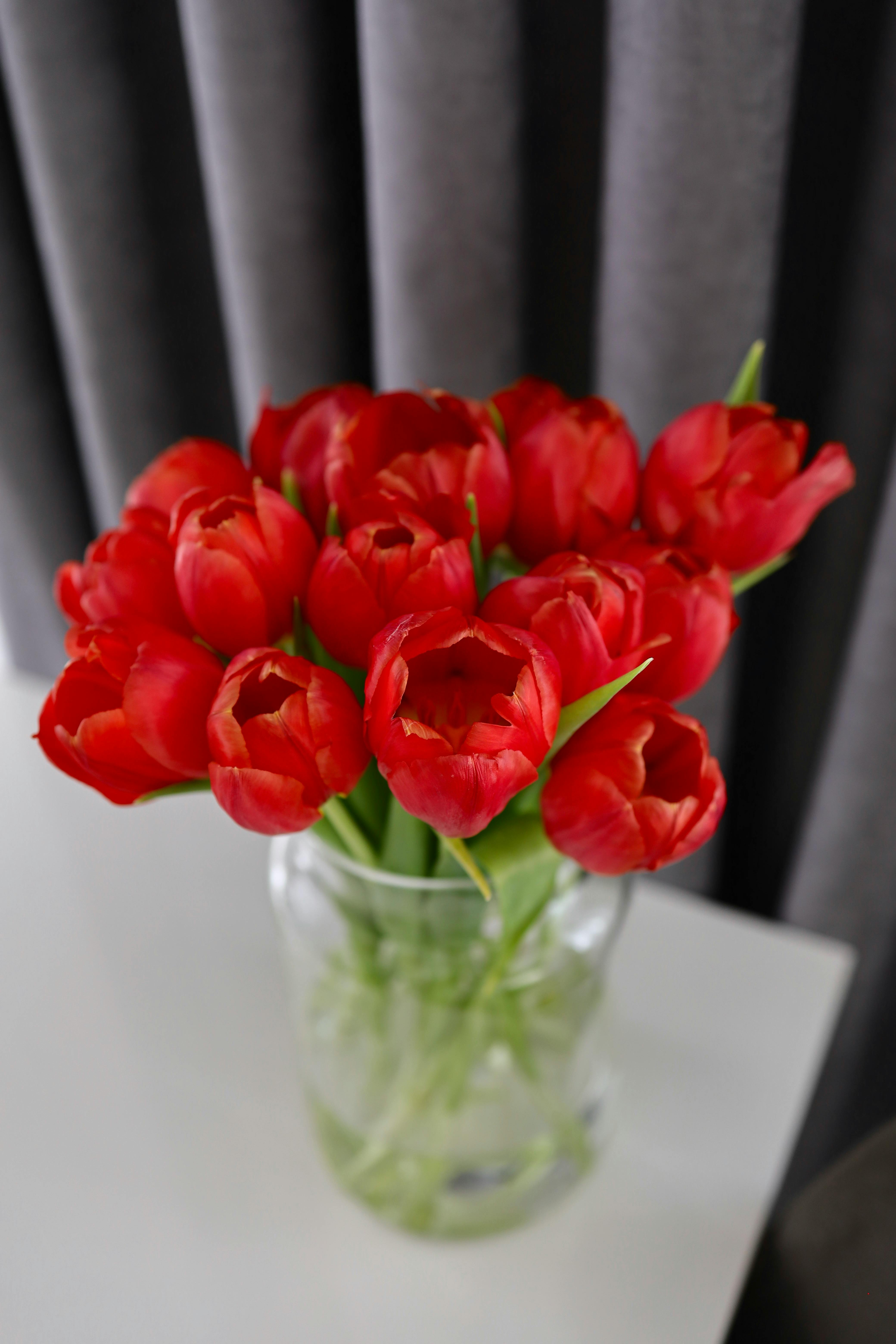 [ColoSach]-stunning-bouquet-of-red-tulips-arranged-in-a-clear-glass-vase,-creating-a-vivid-display-of-floral-beauty.