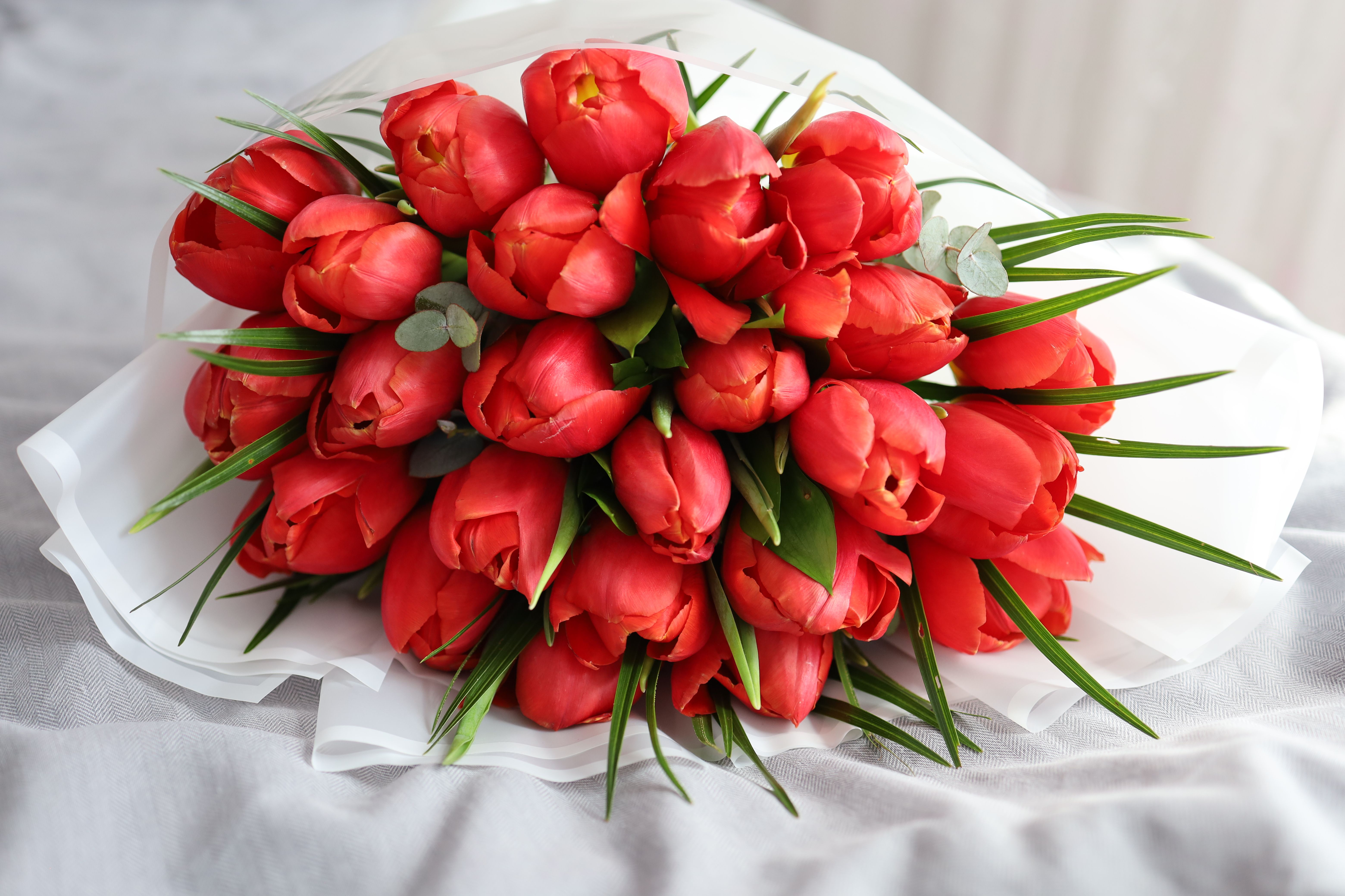 Red Tulips Bouquet