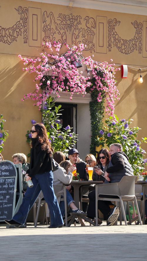 Free Outdoor cafe with people enjoying drinks under pink blossoms in a European setting. Stock Photo