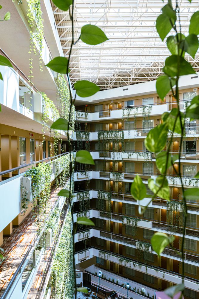 Hotel Bonaventure