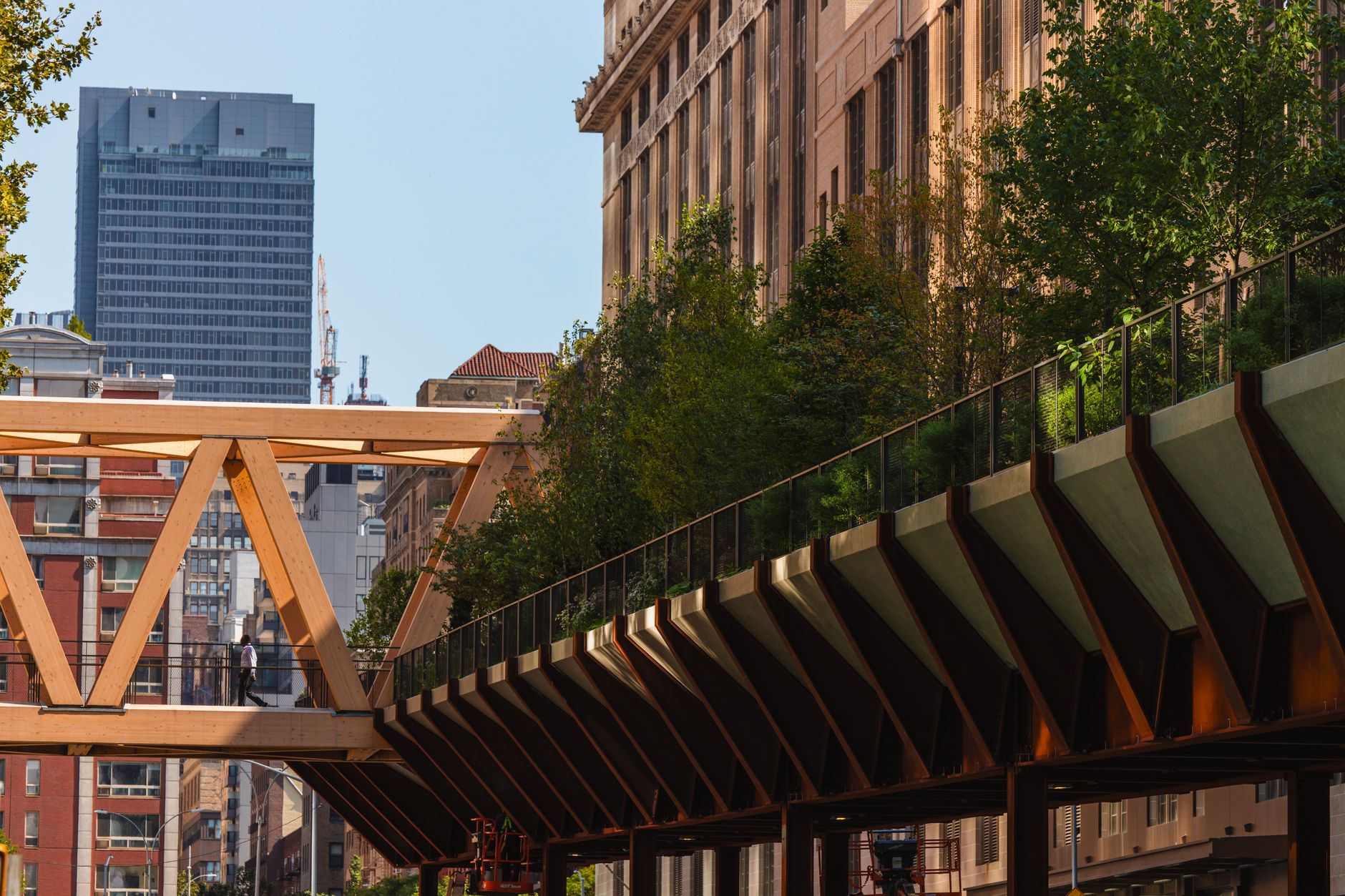 A view of New York City's High Line Park featuring urban architecture and greenery.