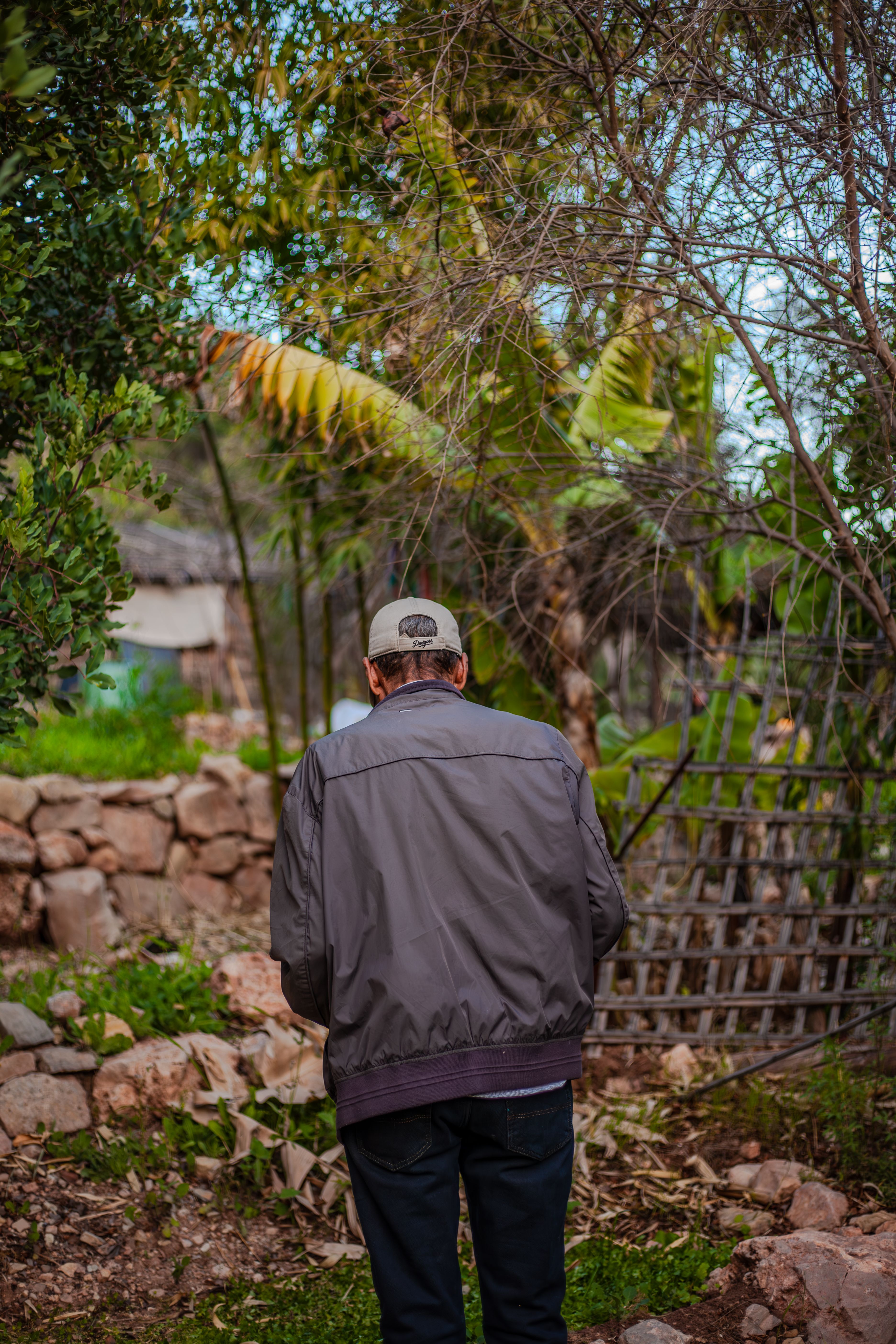 Man Walking in a Rustic Garden Setting · Free Stock Photo
