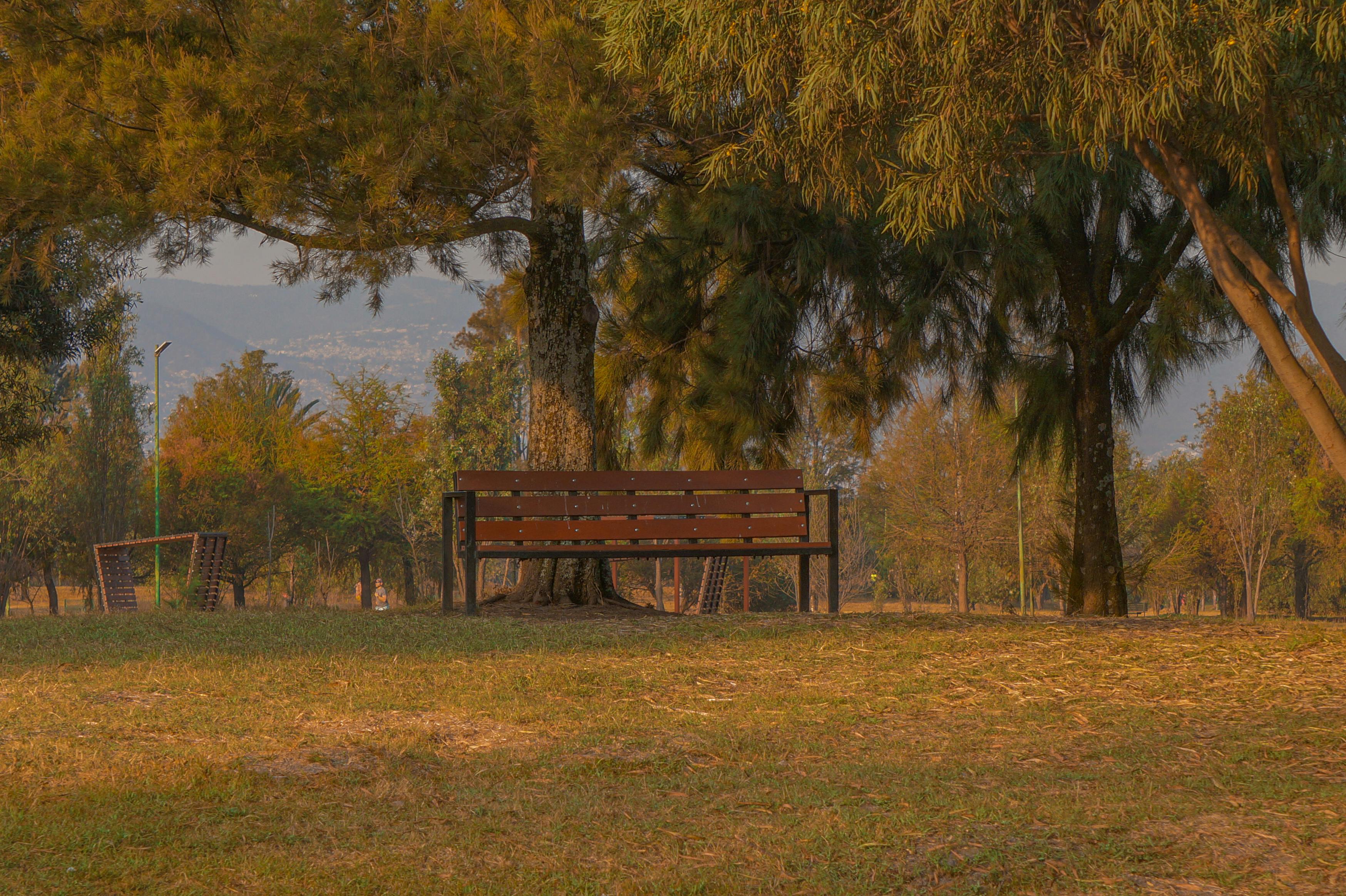 Outdoor 'Fitness Court' coming to Amarillo, city seeking artwork submissions — Photo by Photography Gu on Pexels