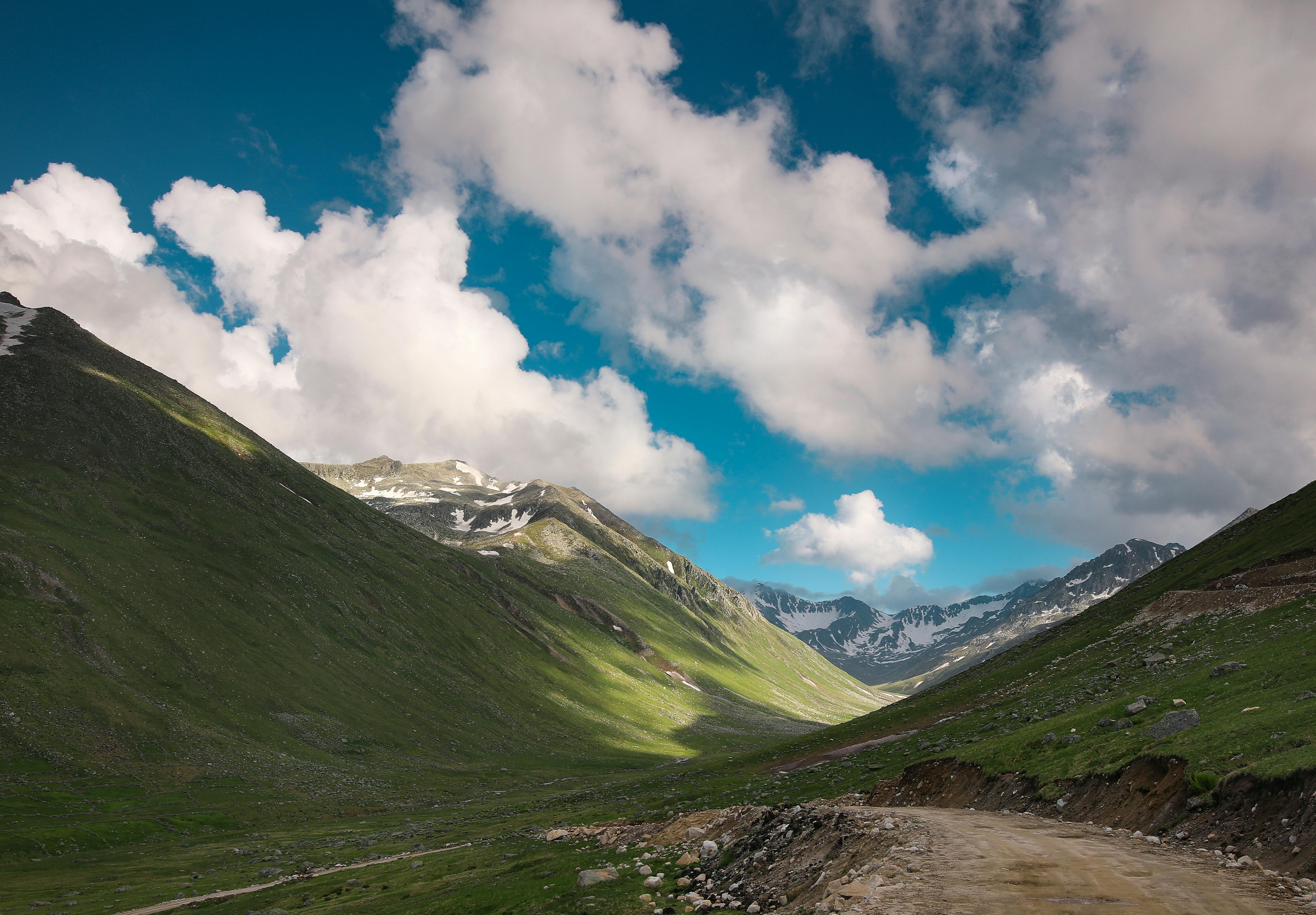 Vertiseit (Q1 Review): Look beyond volatile non-SaaS revenue — Photo by Orhan Namlı on Pexels