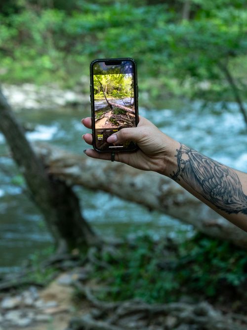 Free A tattooed hand captures a vibrant forest scene with a smartphone camera in Fort Valley, Virginia. Stock Photo