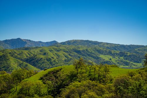 Free Explore the lush, green rolling hills of Sunol, California under a clear blue sky. Stock Photo