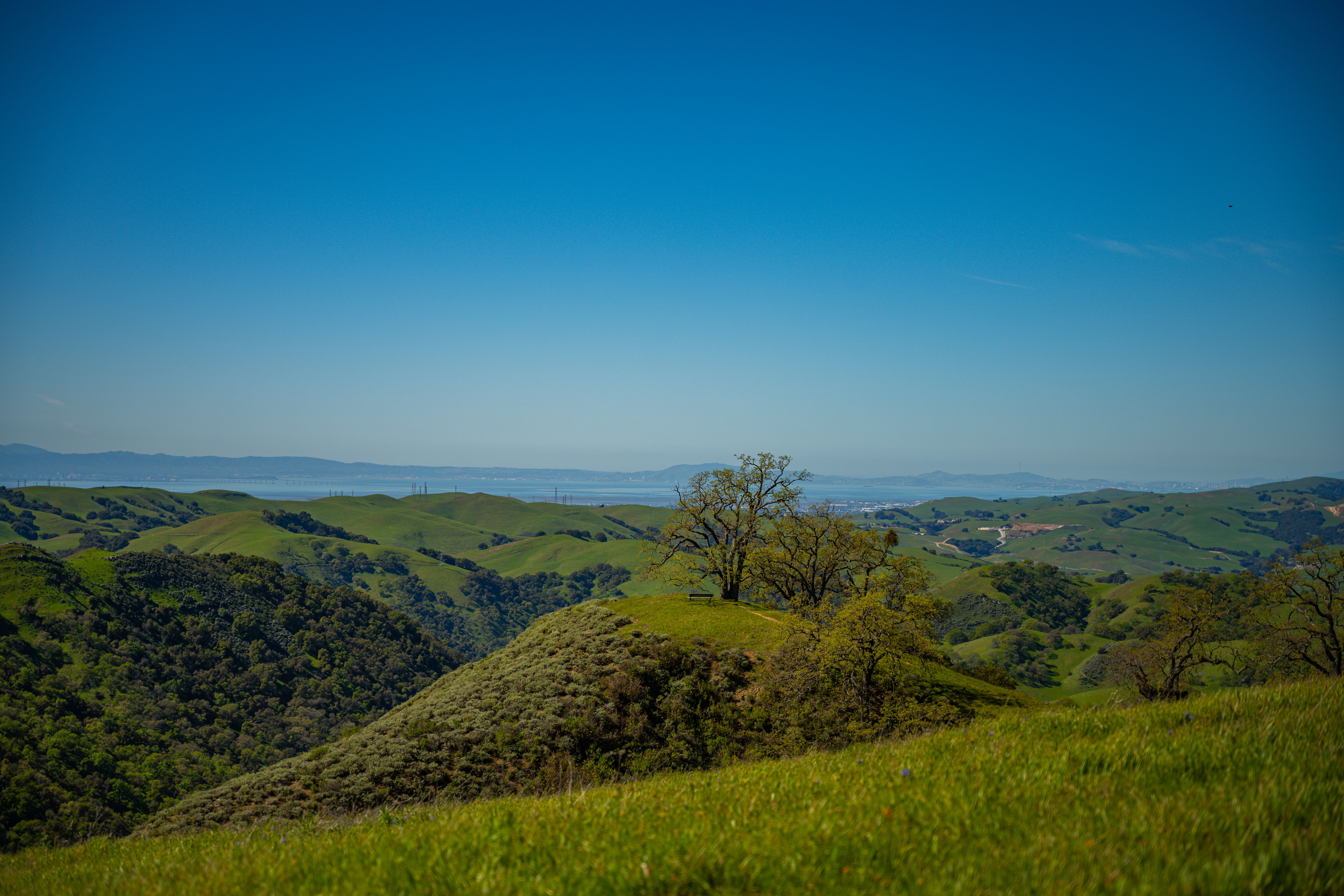 Best Birthday Freebies in Chula Vista, CA: 2026 Local Guide