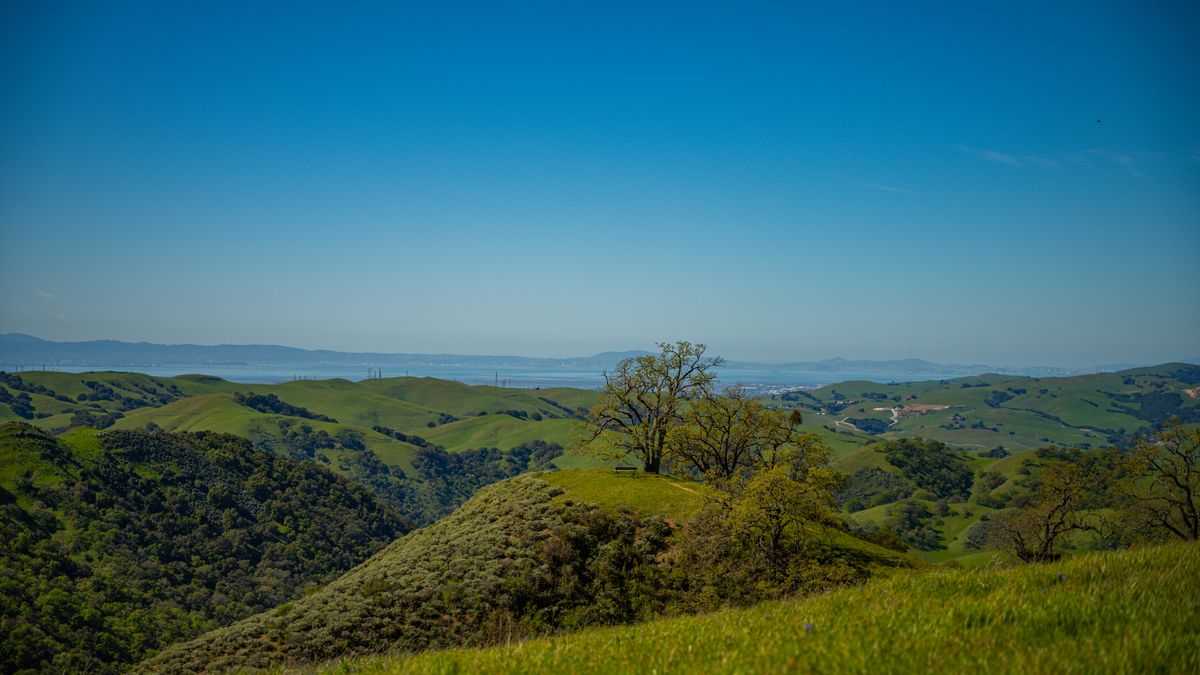 Best Birthday Freebies in Chula Vista, CA: 2026 Local Guide
