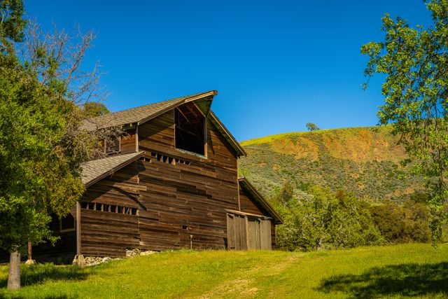 Photo by Elijah Cobb on Pexels Photo by Elijah Cobb on Pexels