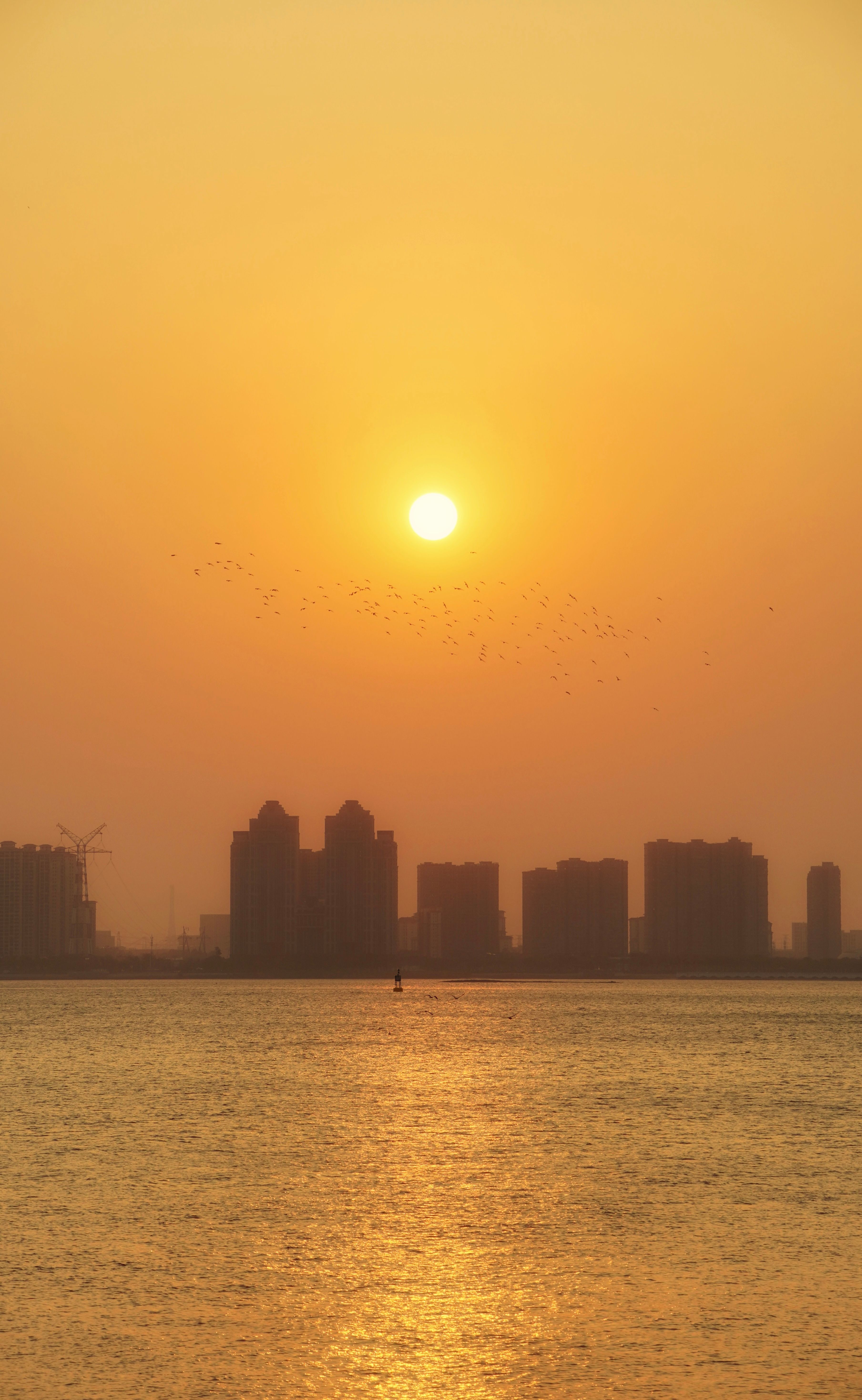 Sun Rising With Natural Nature Photos, Download The BEST Free Sun ...