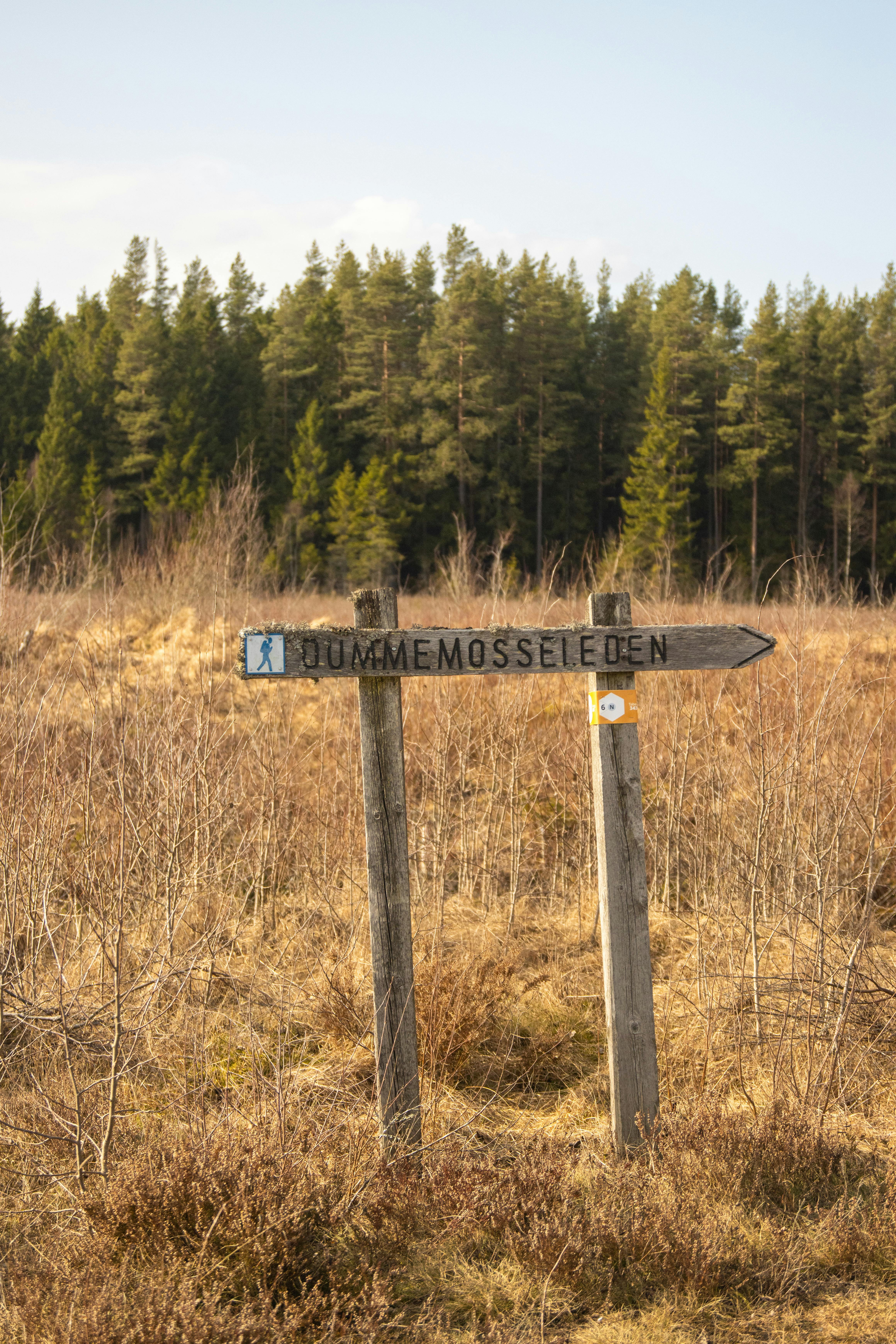 Wooden trail sign in Jönköping, Sweden, pointing towards nature path in sunny forest setting.