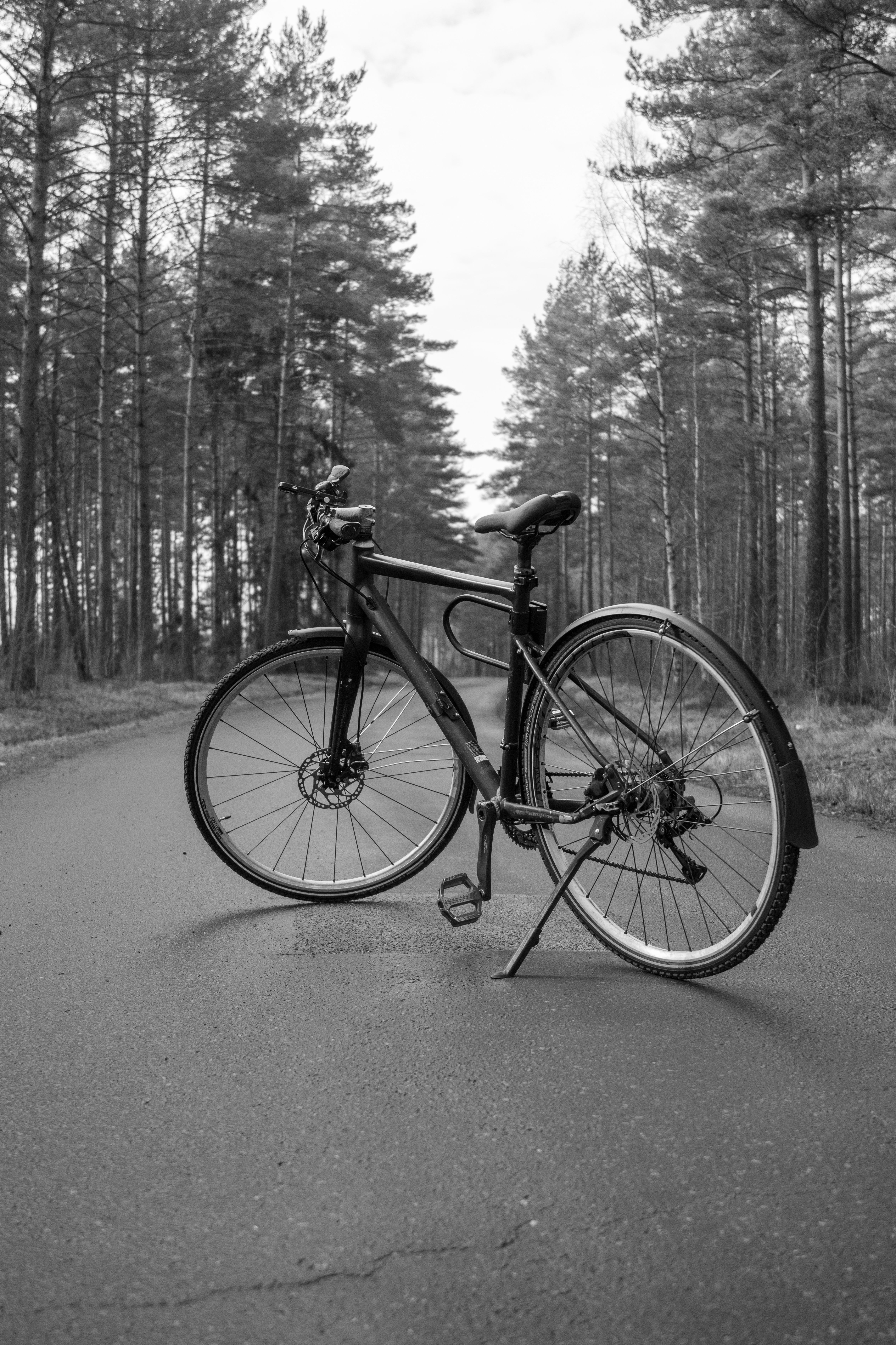 Black and white image of a solitary bicycle on an empty forest road in Jönköpings län, Sweden.