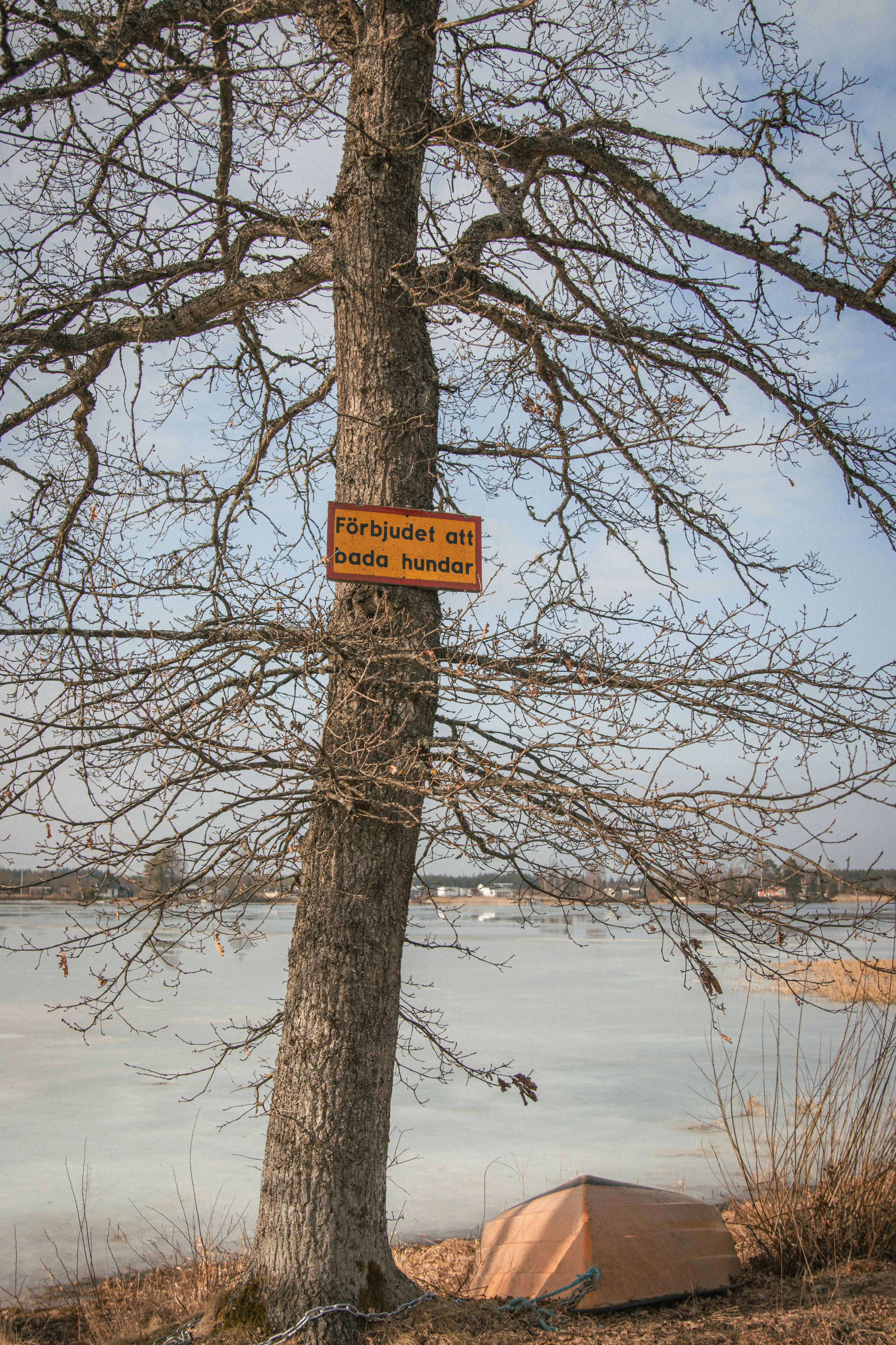 Implications for Brands and Advertisers: Opportunities and Challenges